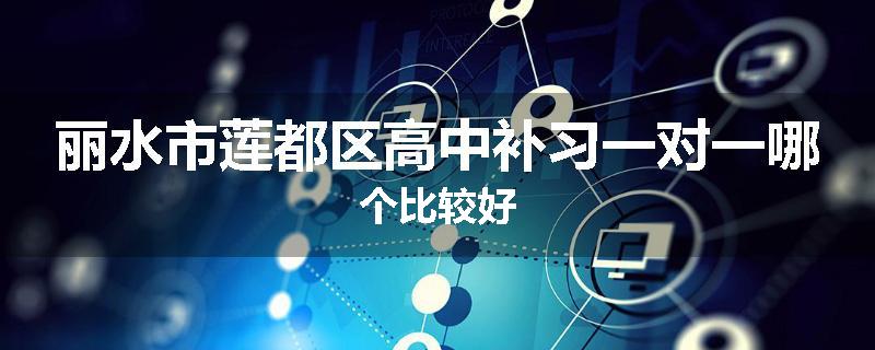 丽水市莲都区高中补习一对一哪个比较好