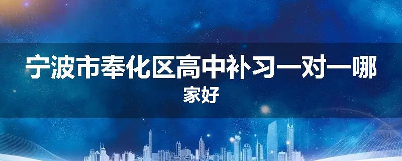 宁波市奉化区高中补习一对一哪家好