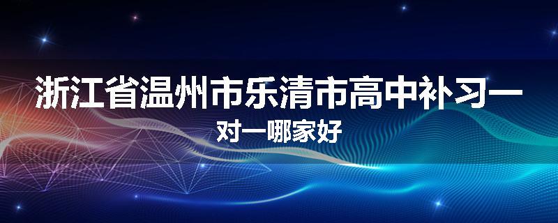 浙江省温州市乐清市高中补习一对一哪家好
