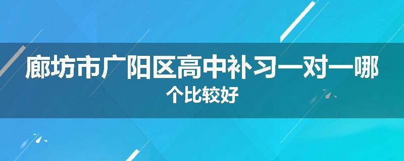 廊坊市广阳区高中补习一对一哪个比较好