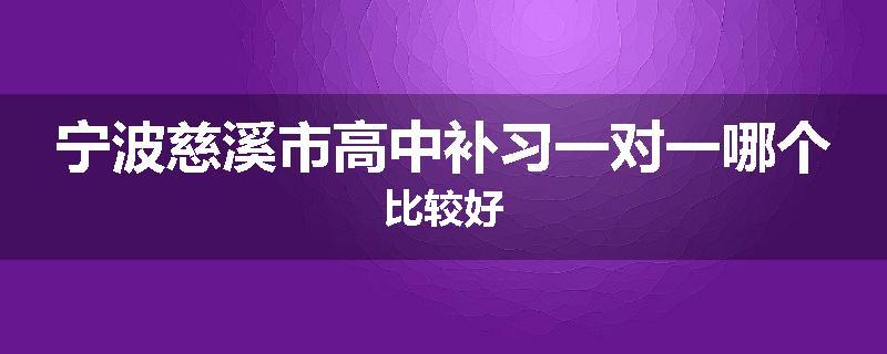 宁波慈溪市高中补习一对一哪个比较好