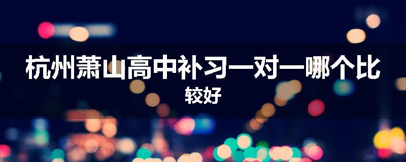 杭州萧山高中补习一对一哪个比较好