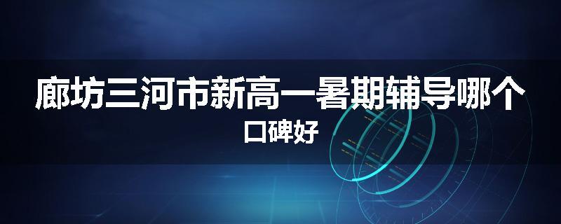 廊坊三河市新高一暑期辅导哪个口碑好