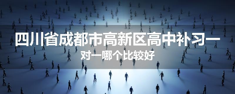 四川省成都市高新区高中补习一对一哪个比较好