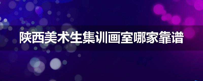 陕西美术生集训画室哪家靠谱
