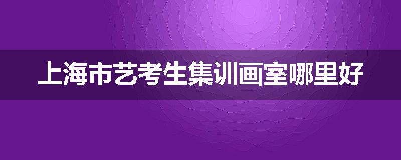 上海市艺考生集训画室哪里好