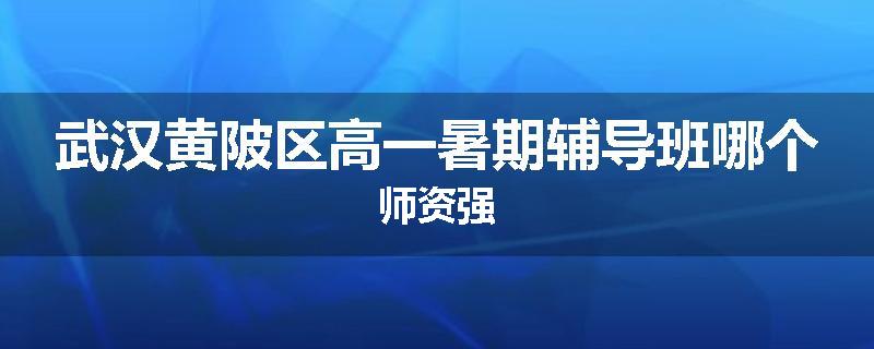 武汉黄陂区高一暑期辅导班哪个师资强
