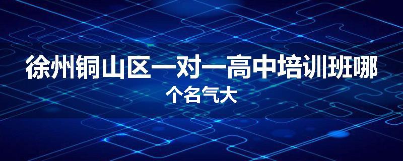 徐州铜山区一对一高中培训班哪个名气大