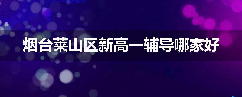烟台莱山区新高一辅导哪家好