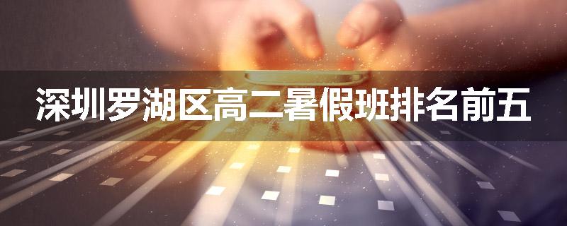 深圳罗湖区高二暑假班排名前五