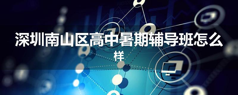 深圳南山区高中暑期辅导班怎么样