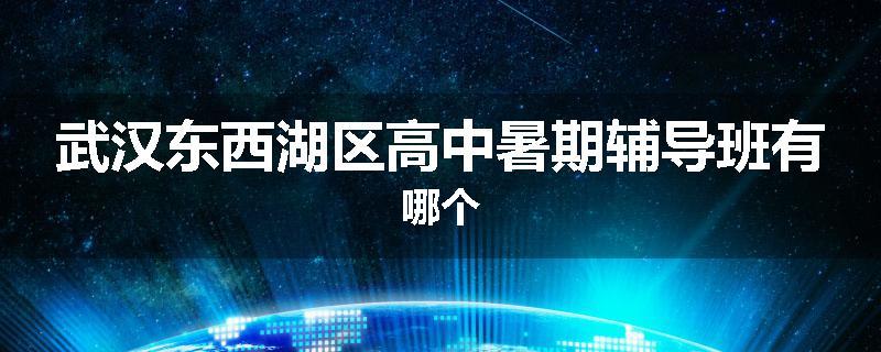 武汉东西湖区高中暑期辅导班有哪个