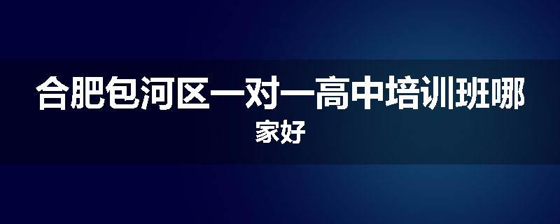 合肥包河区一对一高中培训班哪家好