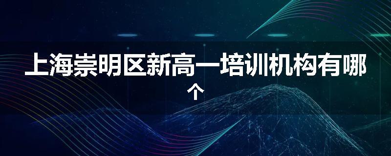 上海崇明区新高一培训机构有哪个