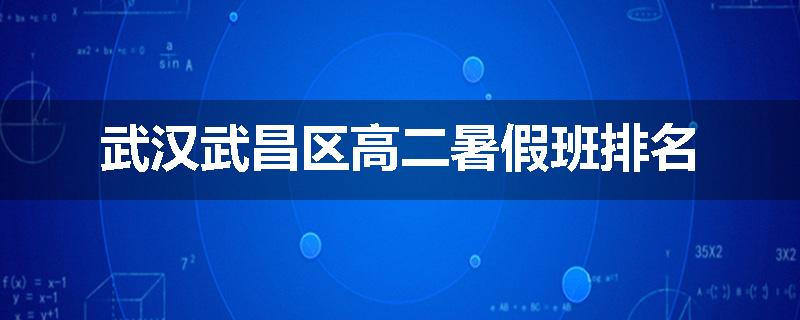 武汉武昌区高二暑假班排名
