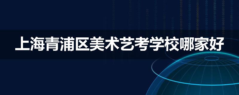 上海青浦区美术艺考学校哪家好