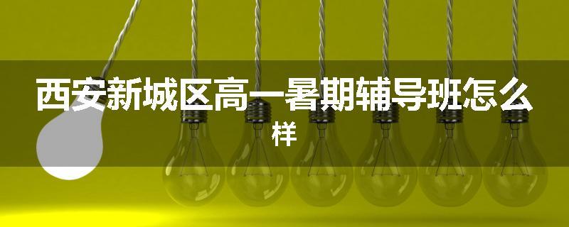 西安新城区高一暑期辅导班怎么样