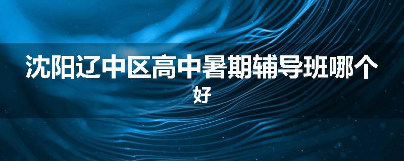 沈阳辽中区高中暑期辅导班哪个好