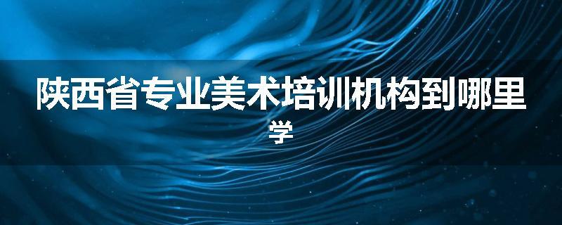 陕西省专业美术培训机构到哪里学
