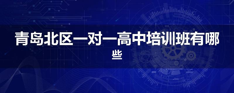 青岛北区一对一高中培训班有哪些