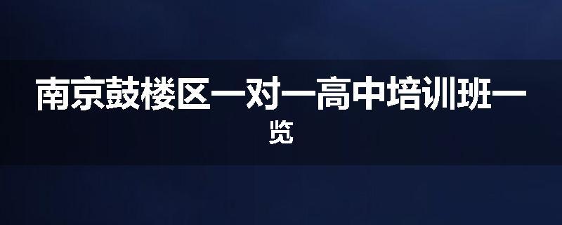 南京鼓楼区一对一高中培训班一览