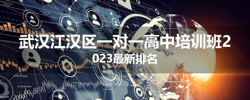 武汉江汉区一对一高中培训班2023最新排名