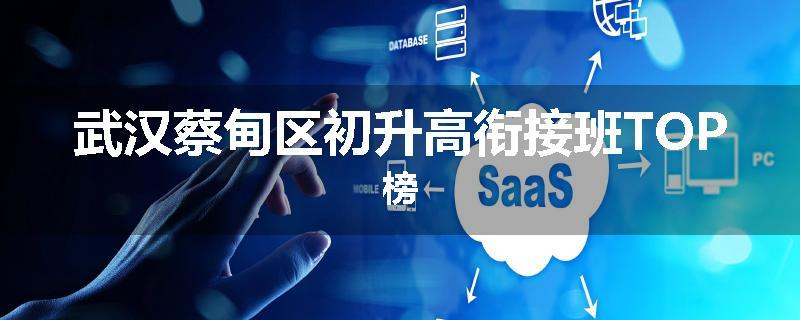 武汉蔡甸区初升高衔接班TOP榜