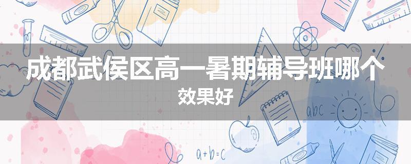 成都武侯区高一暑期辅导班哪个效果好