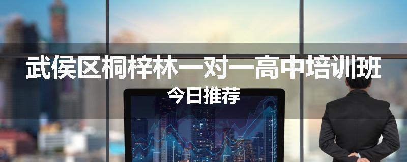 武侯区桐梓林一对一高中培训班今日推荐
