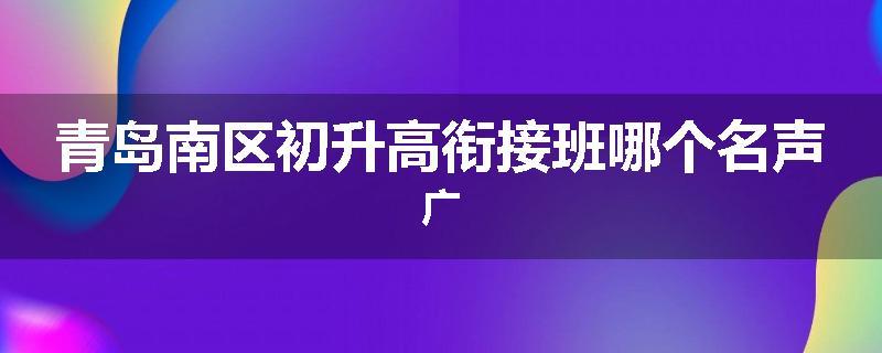 青岛南区初升高衔接班哪个名声广