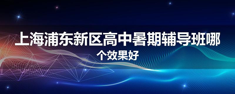 上海浦东新区高中暑期辅导班哪个效果好