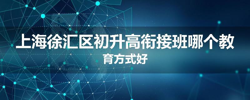 上海徐汇区初升高衔接班哪个教育方式好