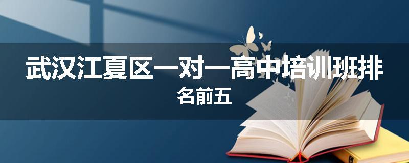 武汉江夏区一对一高中培训班排名前五