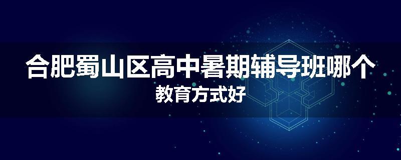 合肥蜀山区高中暑期辅导班哪个教育方式好