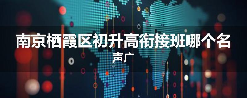南京栖霞区初升高衔接班哪个名声广