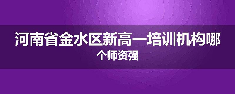 河南省金水区新高一培训机构哪个师资强