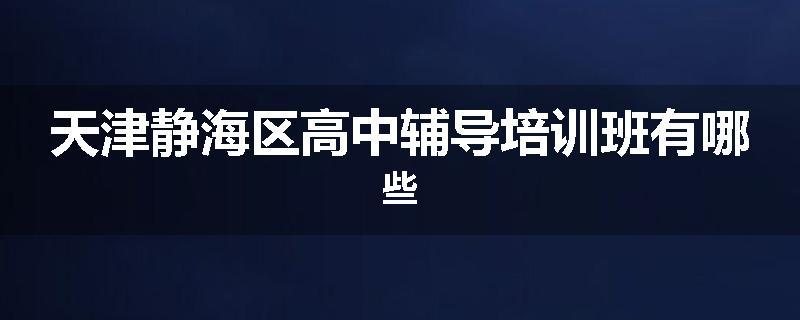 天津静海区高中辅导培训班有哪些