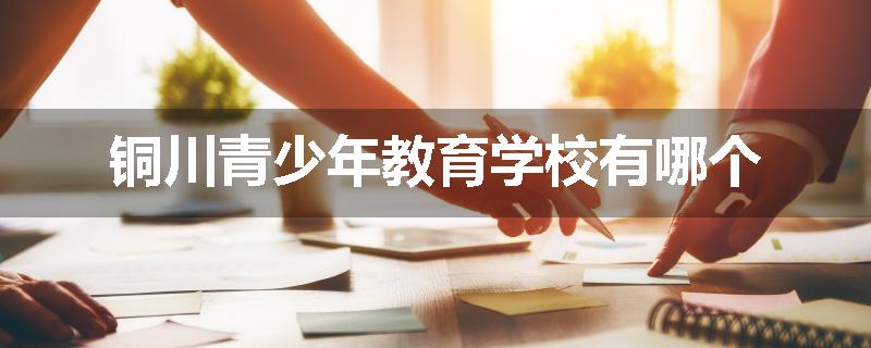 铜川青少年教育学校有哪个