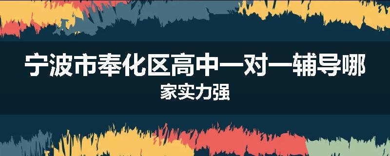 宁波市奉化区高中一对一辅导哪家实力强