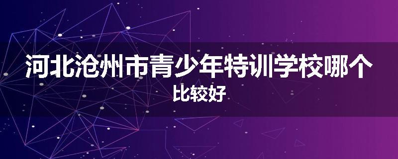 河北沧州市青少年特训学校哪个比较好