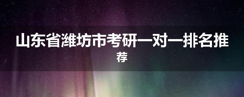 山东省潍坊市考研一对一排名推荐