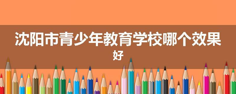 沈阳市青少年教育学校哪个效果好