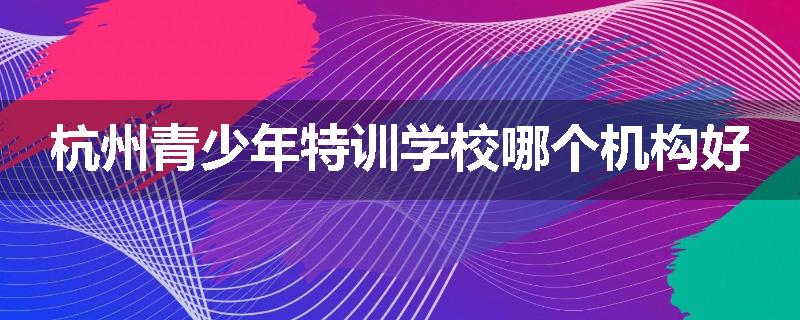 杭州青少年特训学校哪个机构好