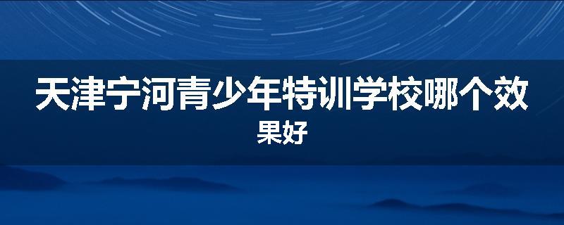 天津宁河青少年特训学校哪个效果好