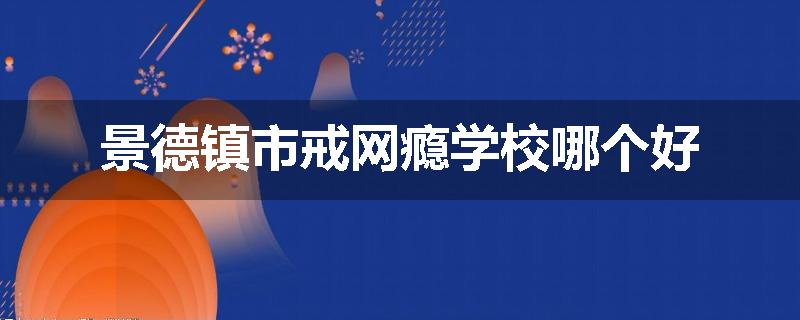 景德镇市戒网瘾学校哪个好