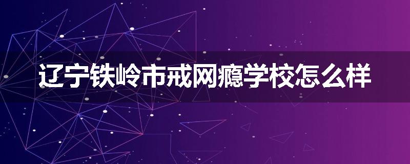 辽宁铁岭市戒网瘾学校怎么样