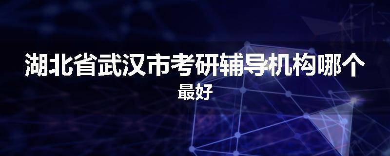 湖北省武汉市考研辅导机构哪个最好