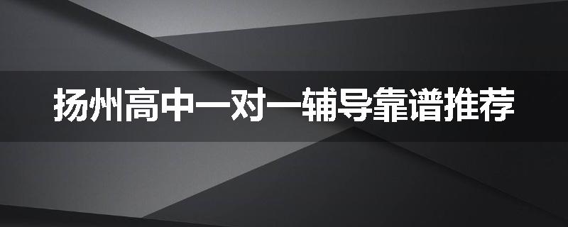 扬州高中一对一辅导靠谱推荐