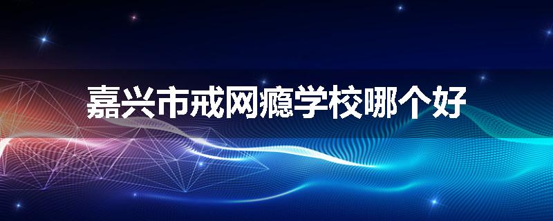 嘉兴市戒网瘾学校哪个好