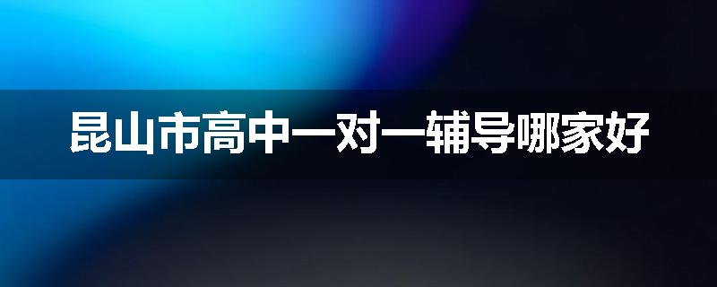 昆山市高中一对一辅导哪家好